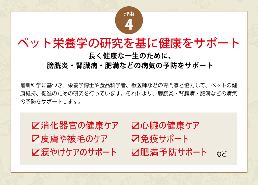 オリジン　キャット