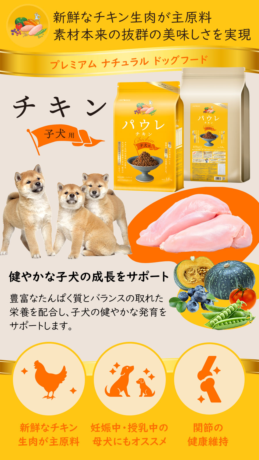 パウレ　チキン　子犬用