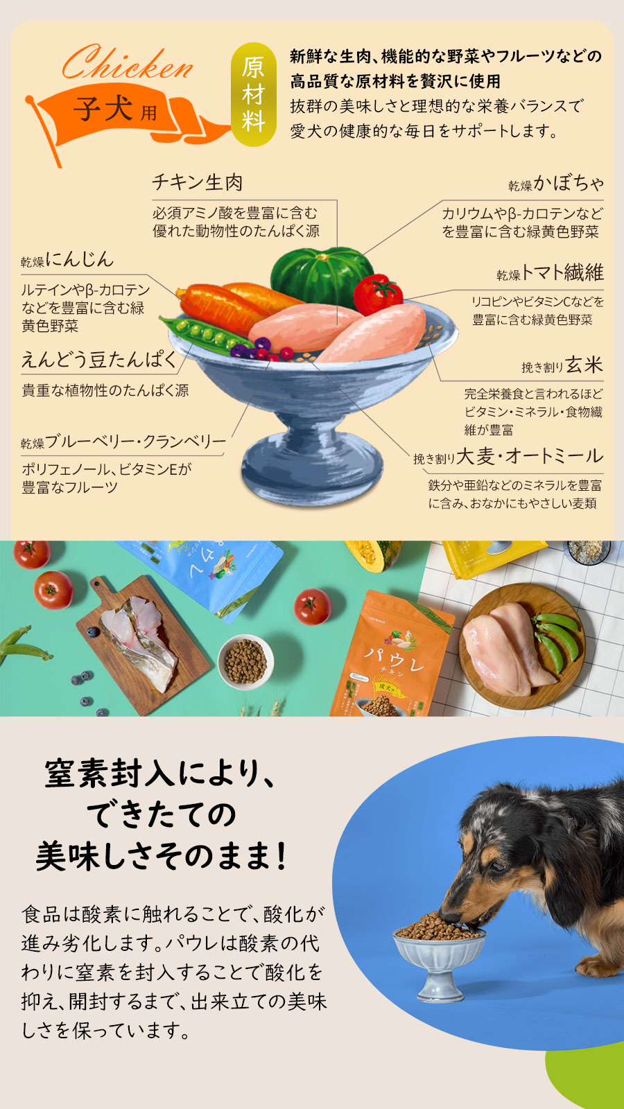 パウレ　チキン　子犬用