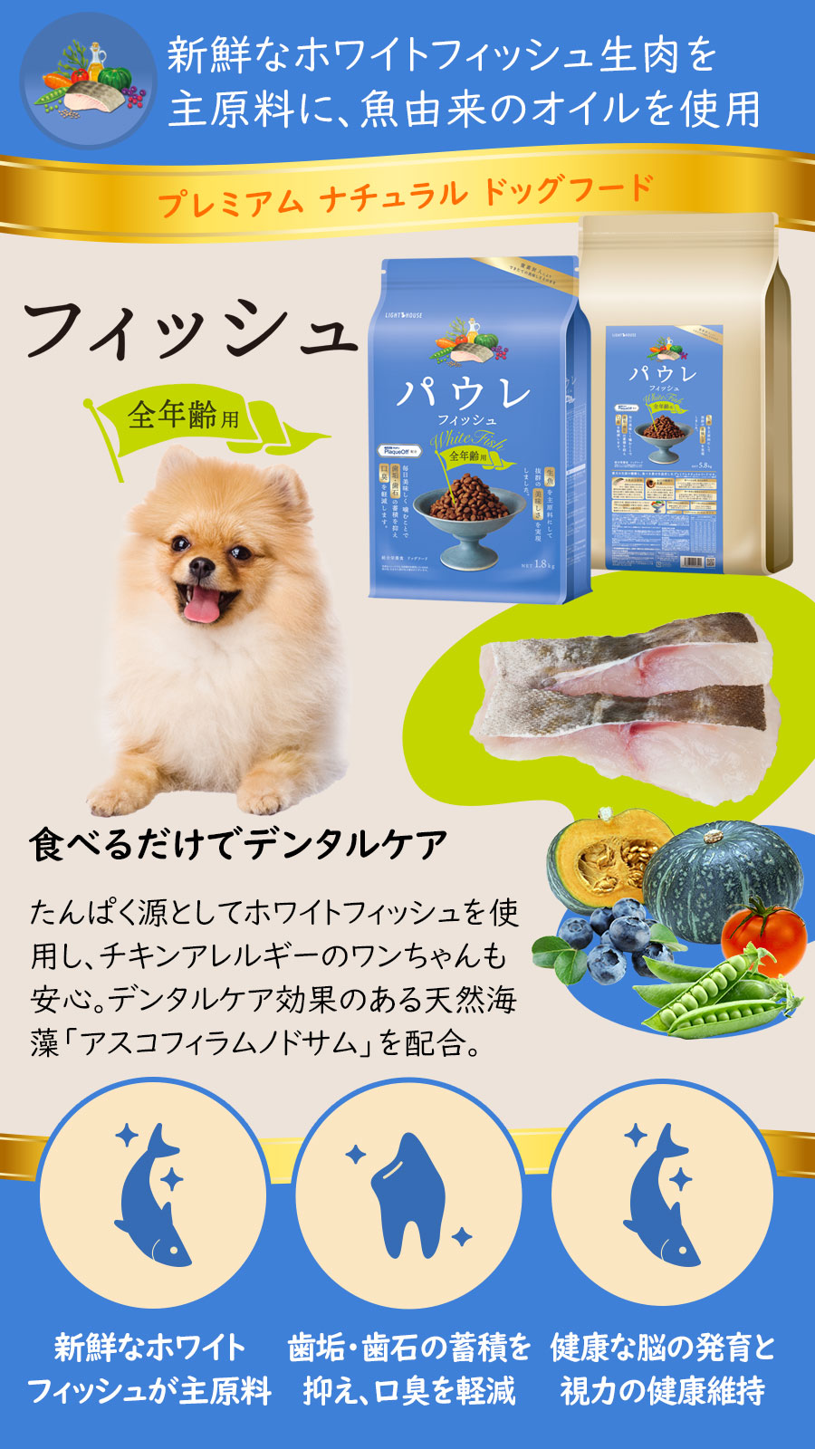 パウレ フィッシュ　全年齢用