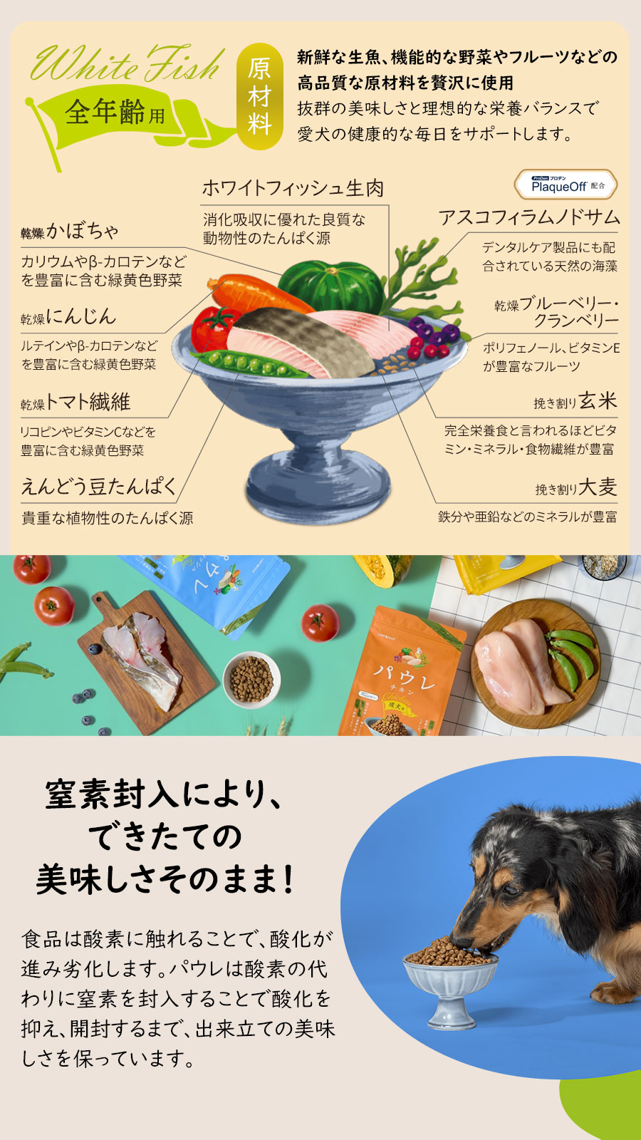 パウレ フィッシュ　全年齢用