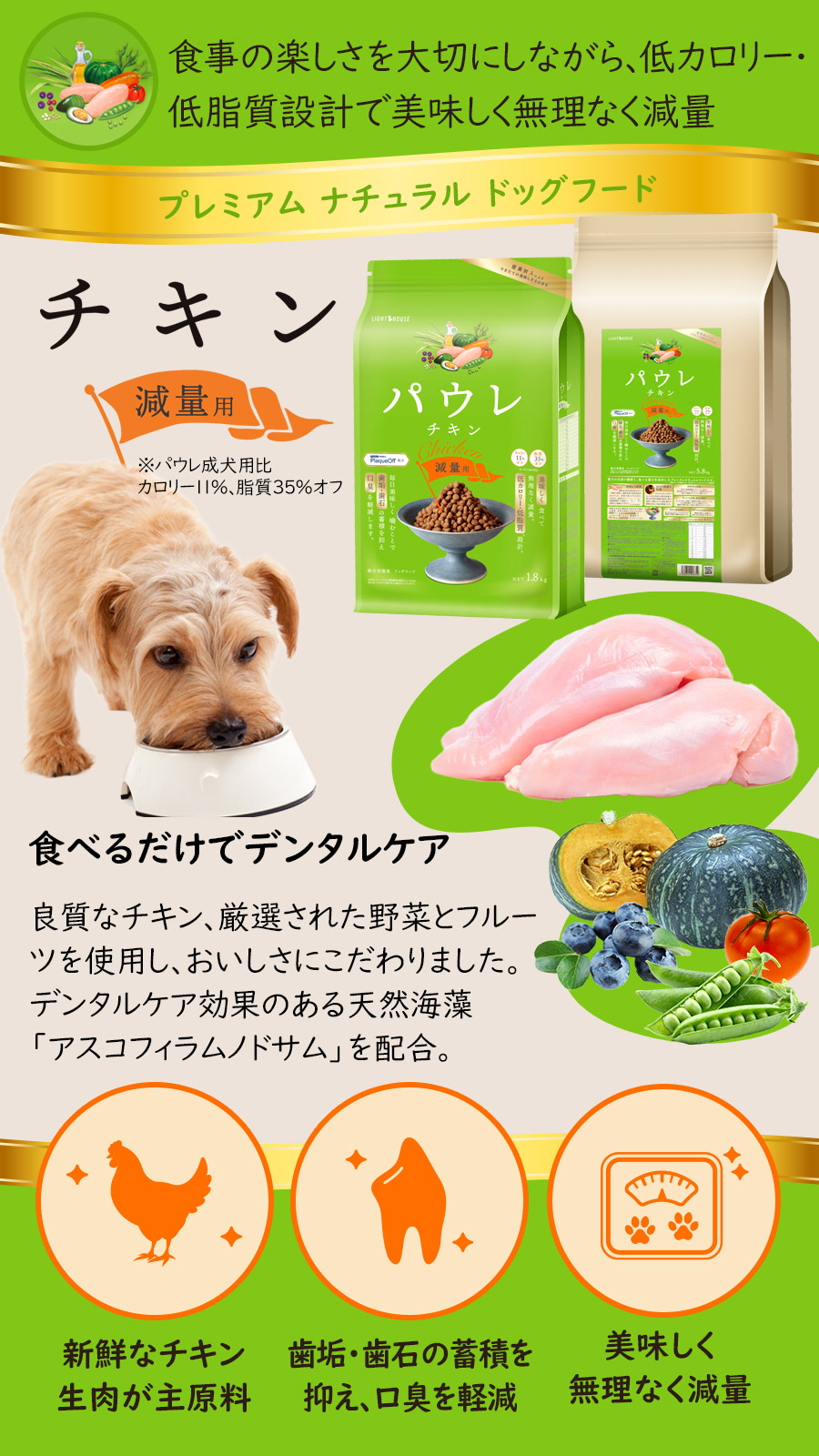 パウレ　チキン　減量用