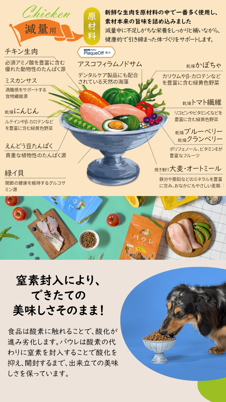 パウレ　チキン　減量用