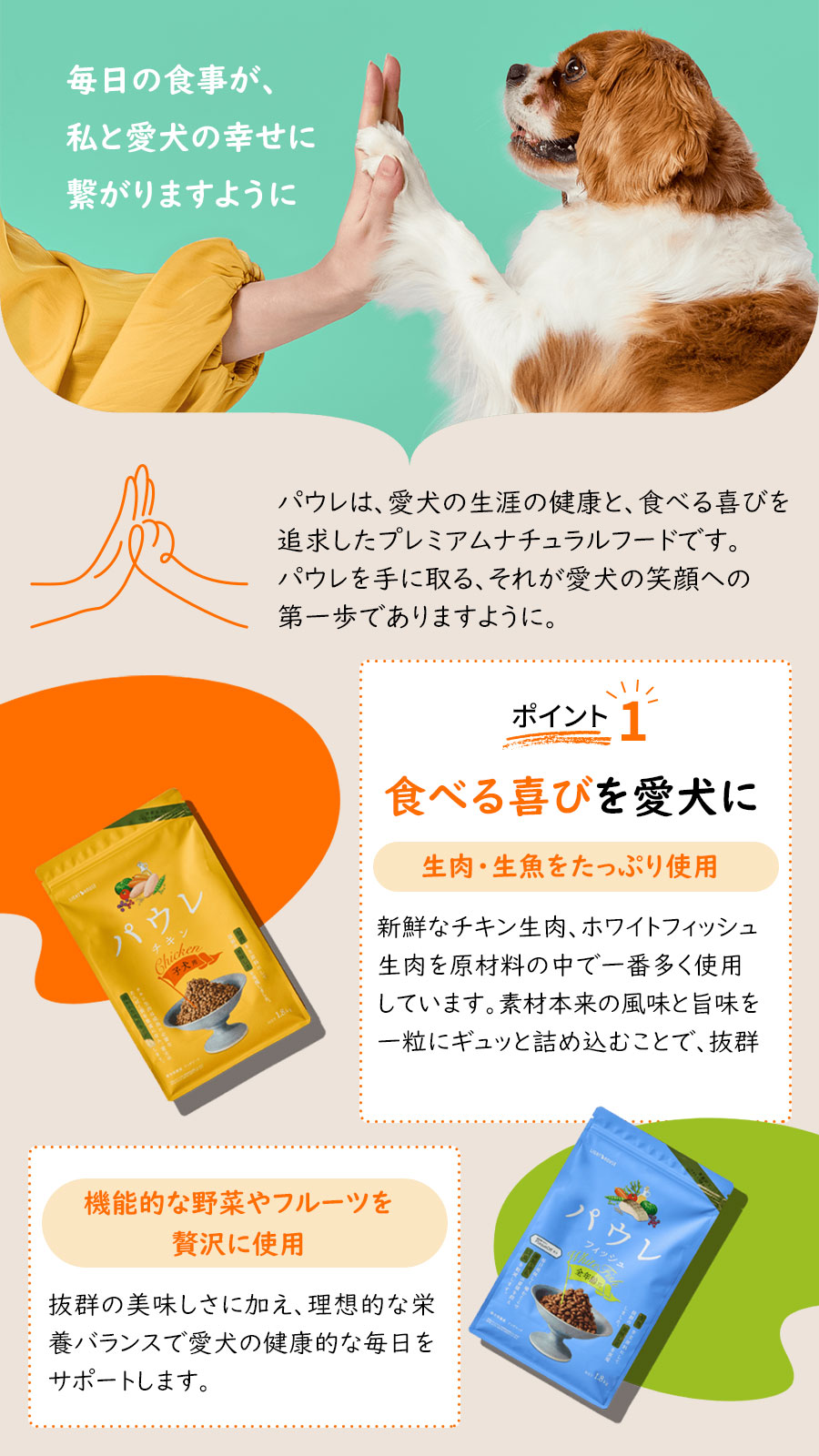 パウレ ポイント1