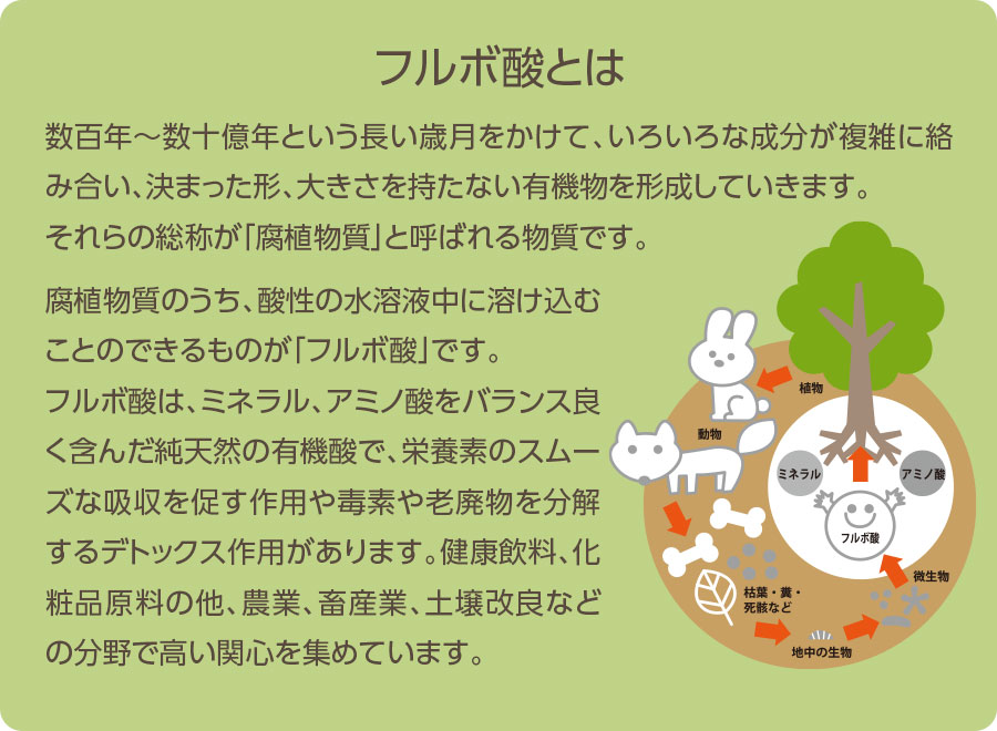 フルボ酸とは？