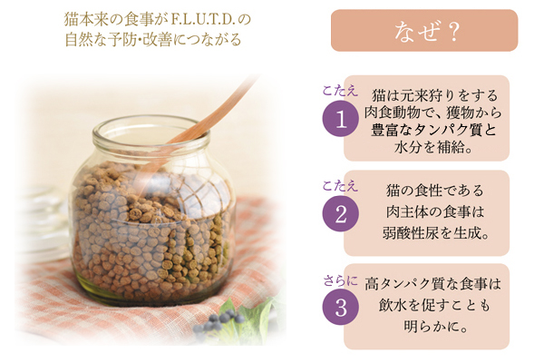 カントリーロード プレシャスサポート F.L.U.T.D ケア用 食事療法食