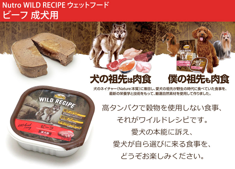 ワイルドレシピ ウエットフード ビーフ 成犬用