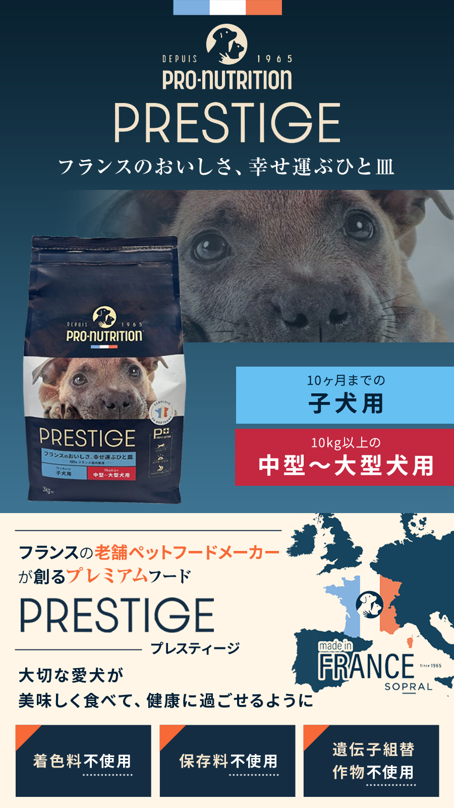 プレスティージ 犬用