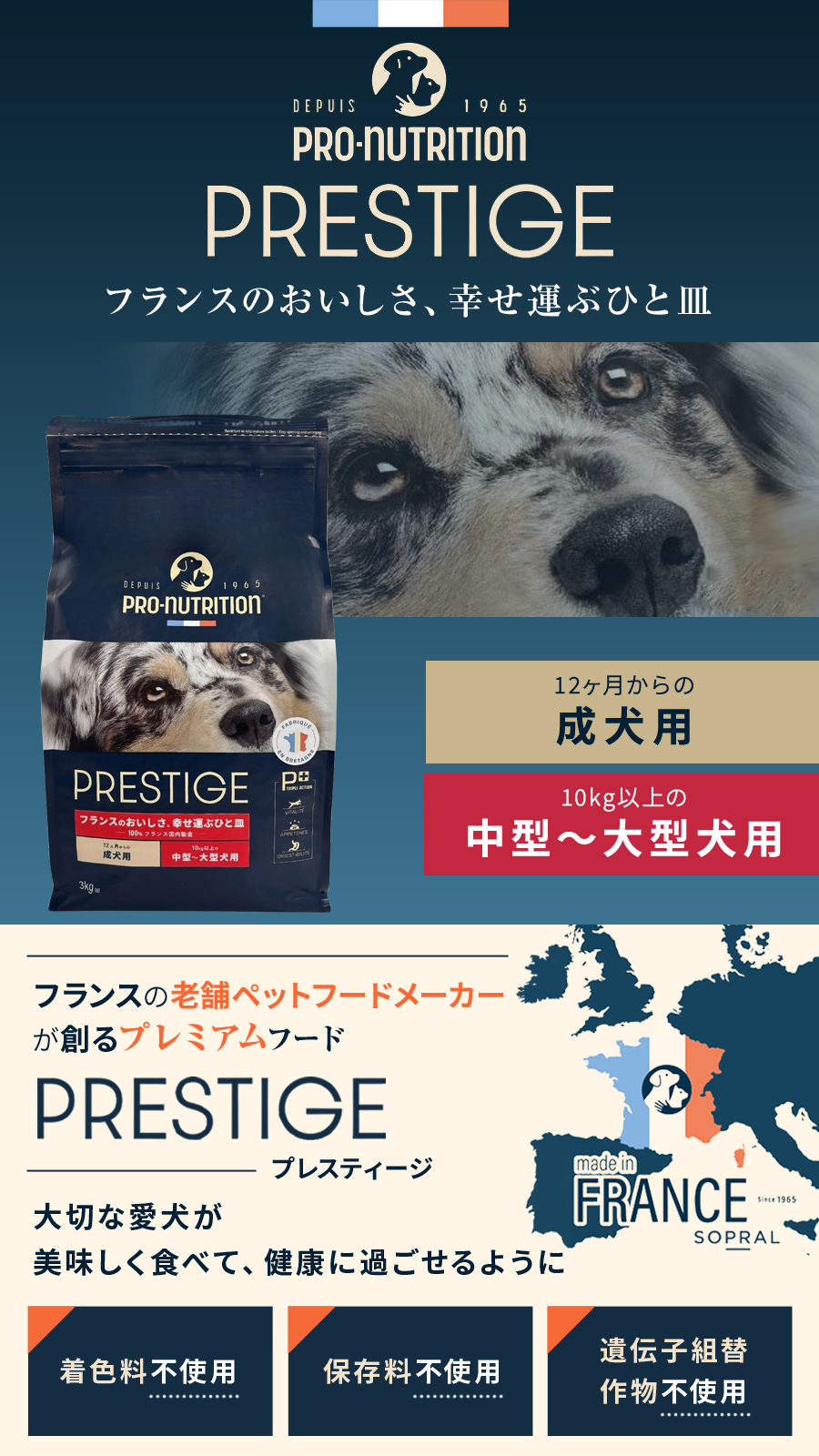 プレスティージ 犬用