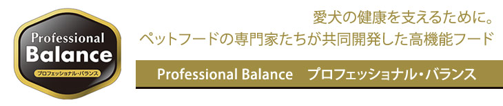 Professional Balance プロフェッショナル・バランス