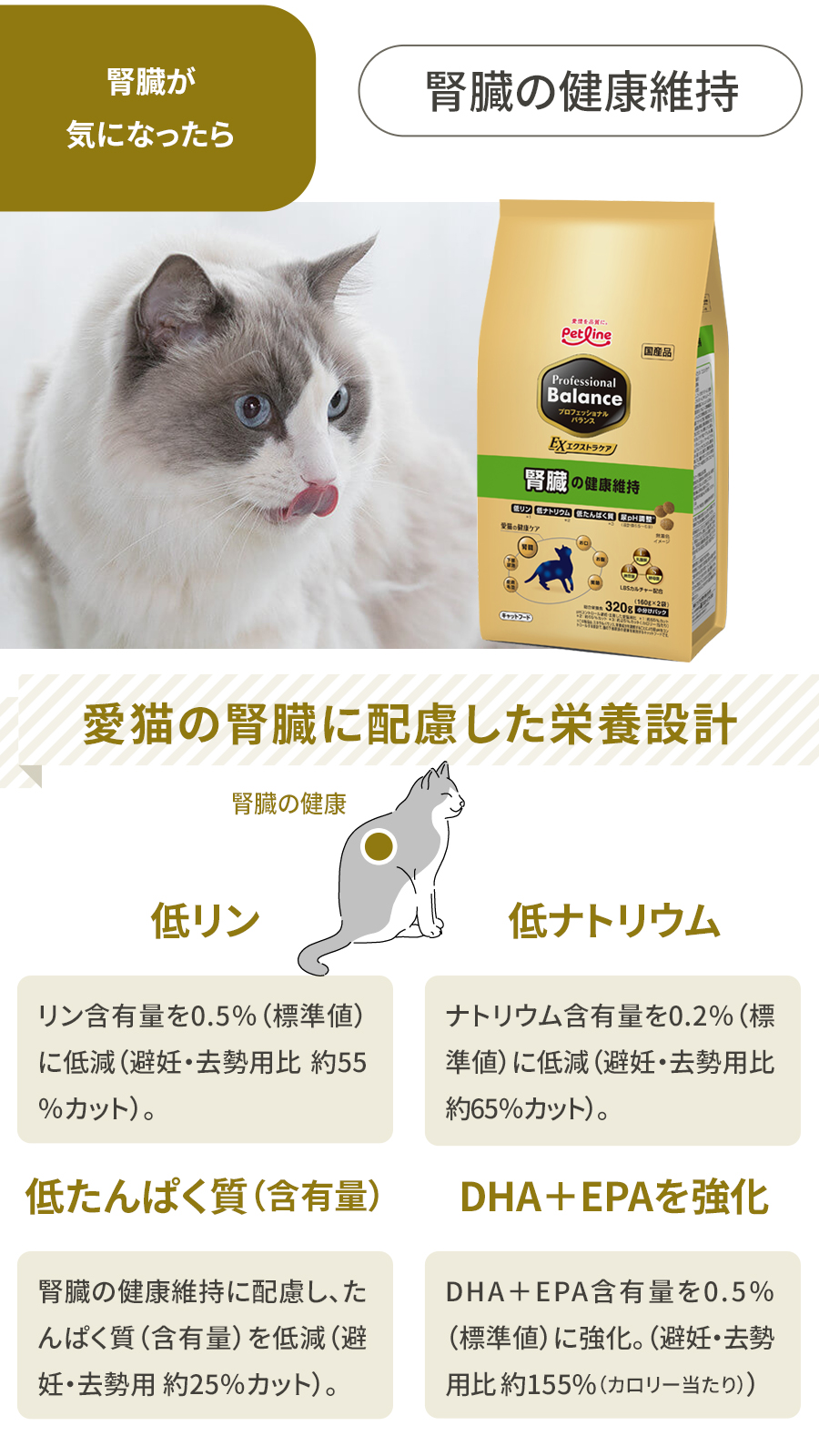 プロフェッショナルバランス　腎臓の健康維持