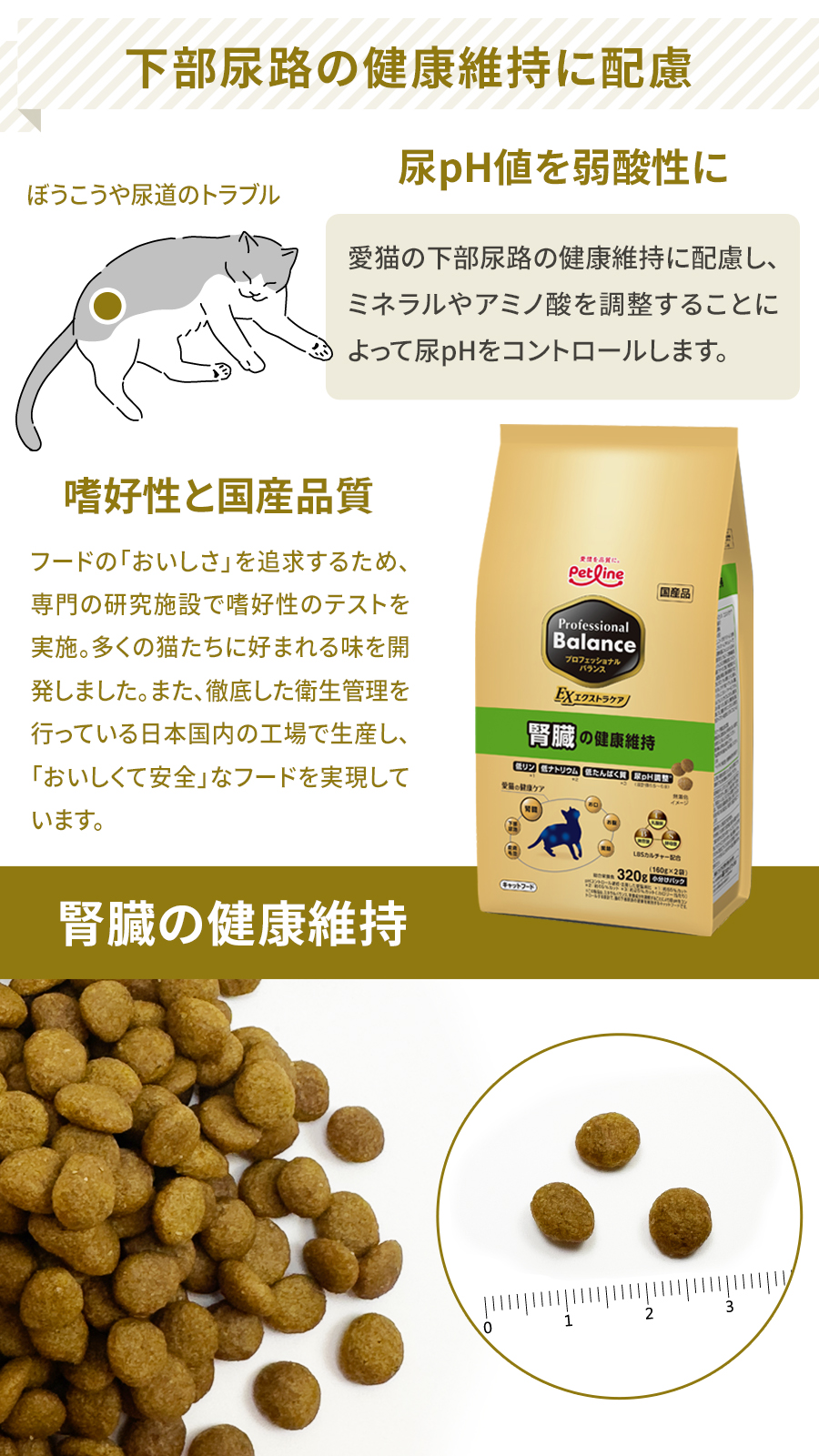 プロフェッショナルバランス　腎臓の健康維持