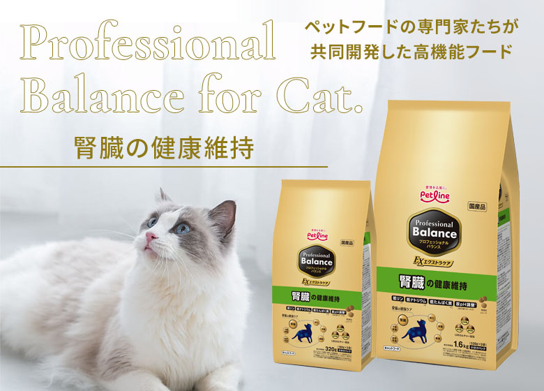 プロフェッショナルバランス　腎臓の健康維持