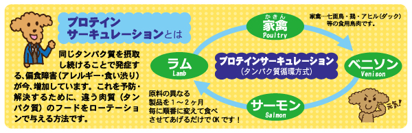 プロテインサーキュレーション