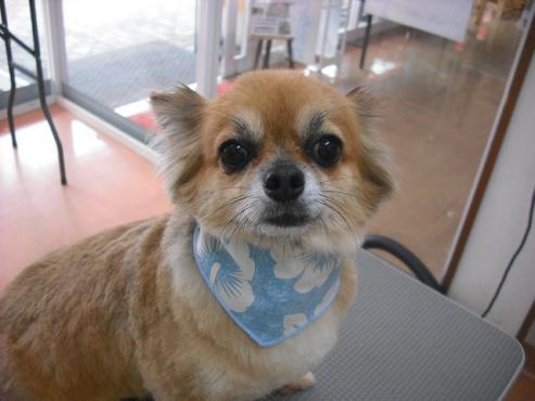 ゆうじろうくん