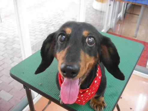 ミュー子ちゃん