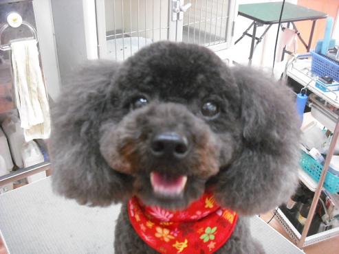 さんたろうくん