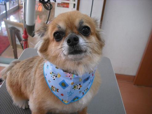 ゆうじろうくん