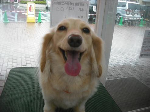 ティアラちゃん