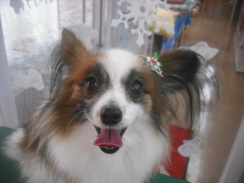 アリエルちゃん