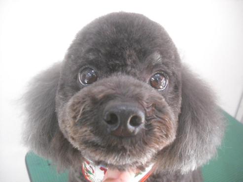 さんたろうくん