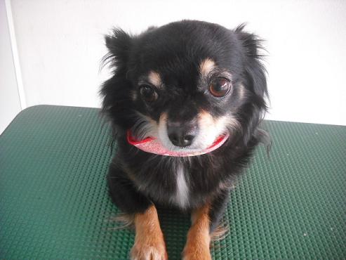 リィリィちゃん