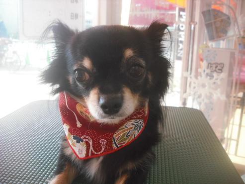 リィリィちゃん