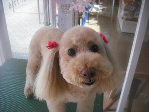 ミルキーちゃん