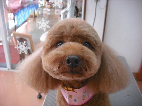 チャイムちゃん