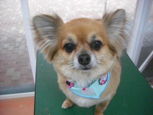 ゆうじろうくん