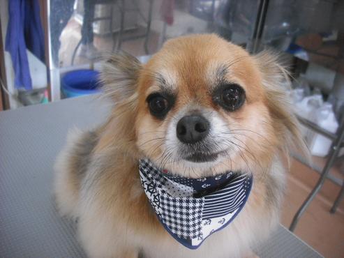 ゆうじろうくん