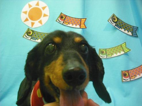 ミゅう子ちゃん