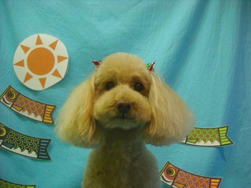 ミルキーちゃん