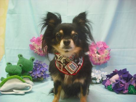 リィリィちゃん