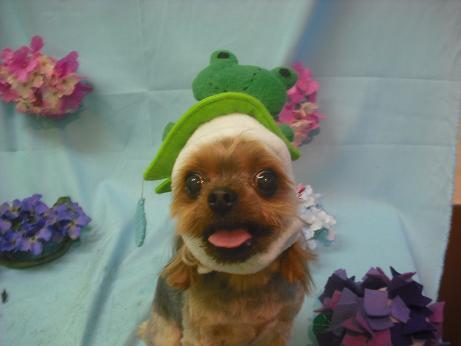 ジュエルちゃん