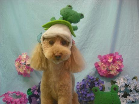 ミルキーちゃん