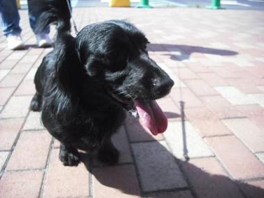 竹内　ロックくん