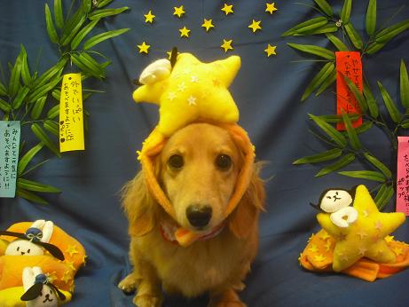 チャッピーちゃん