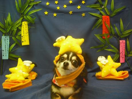 Ｔｉｎｙちゃん