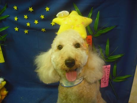 キャプテンくん