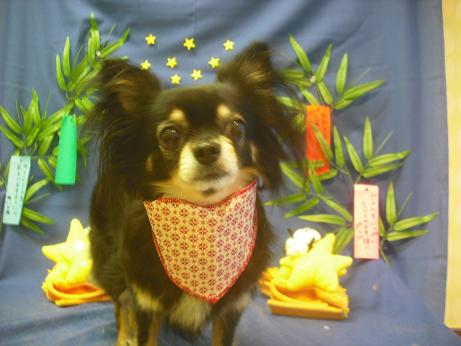 リィリィーちゃん