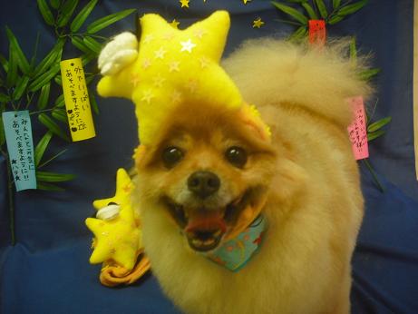 ジュンペイくん