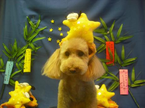 ミルキーちゃん