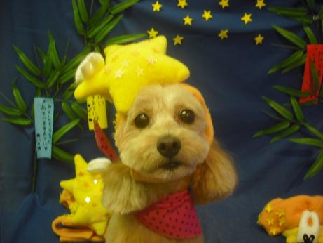 ケイティちゃん