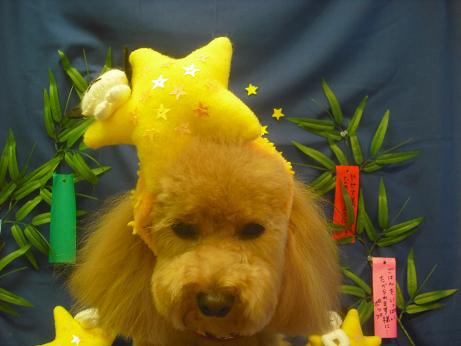 Ｐｅａｃｈちゃん