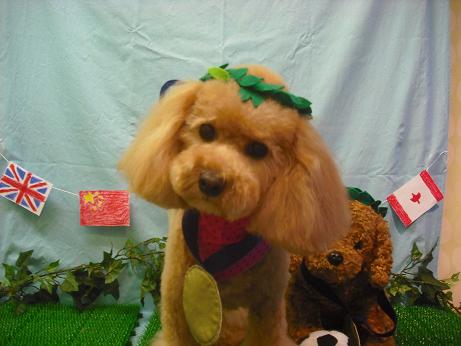 ｐｅａｃｈちゃん