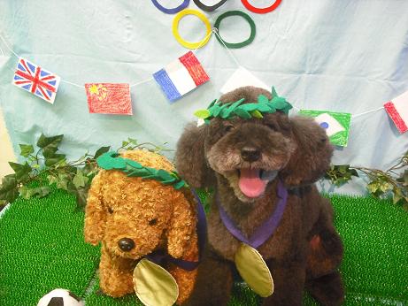 はんぞうちゃん