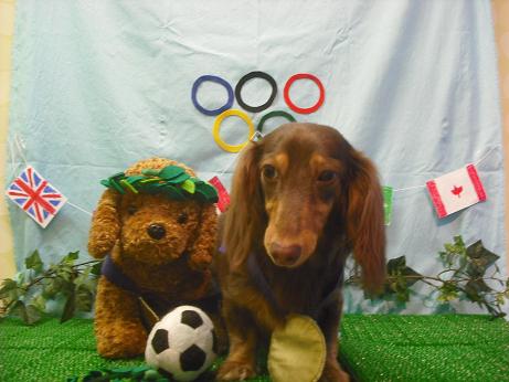 ハッピーちゃん