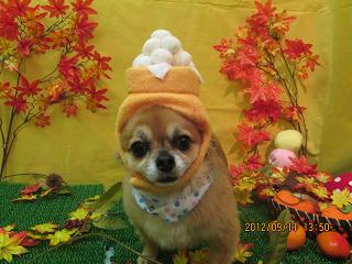 ゆうじろうくん