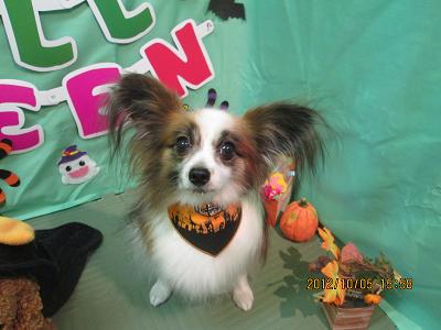 アリエルちゃん